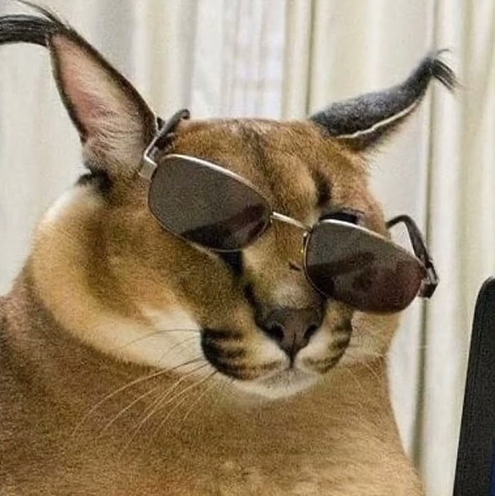 Аватара пользователя