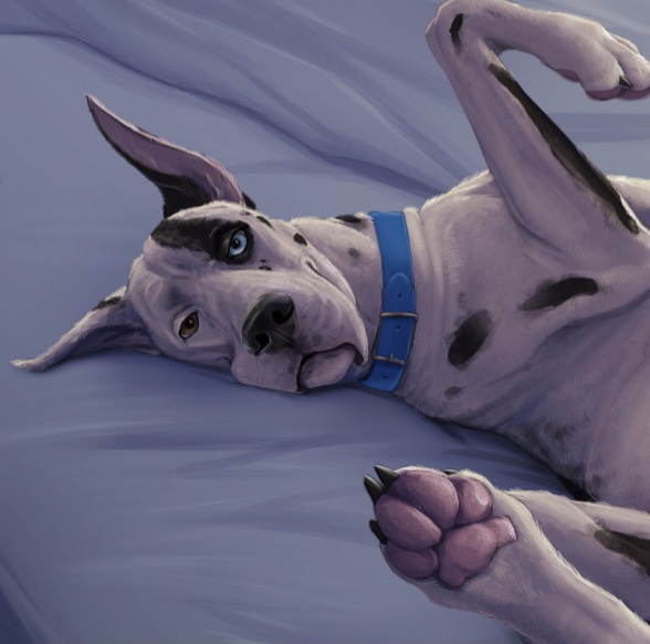 Аватара пользователя